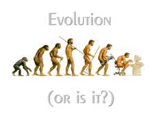 evolution.jpg
