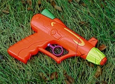onion_imagearticle2916.jpg
